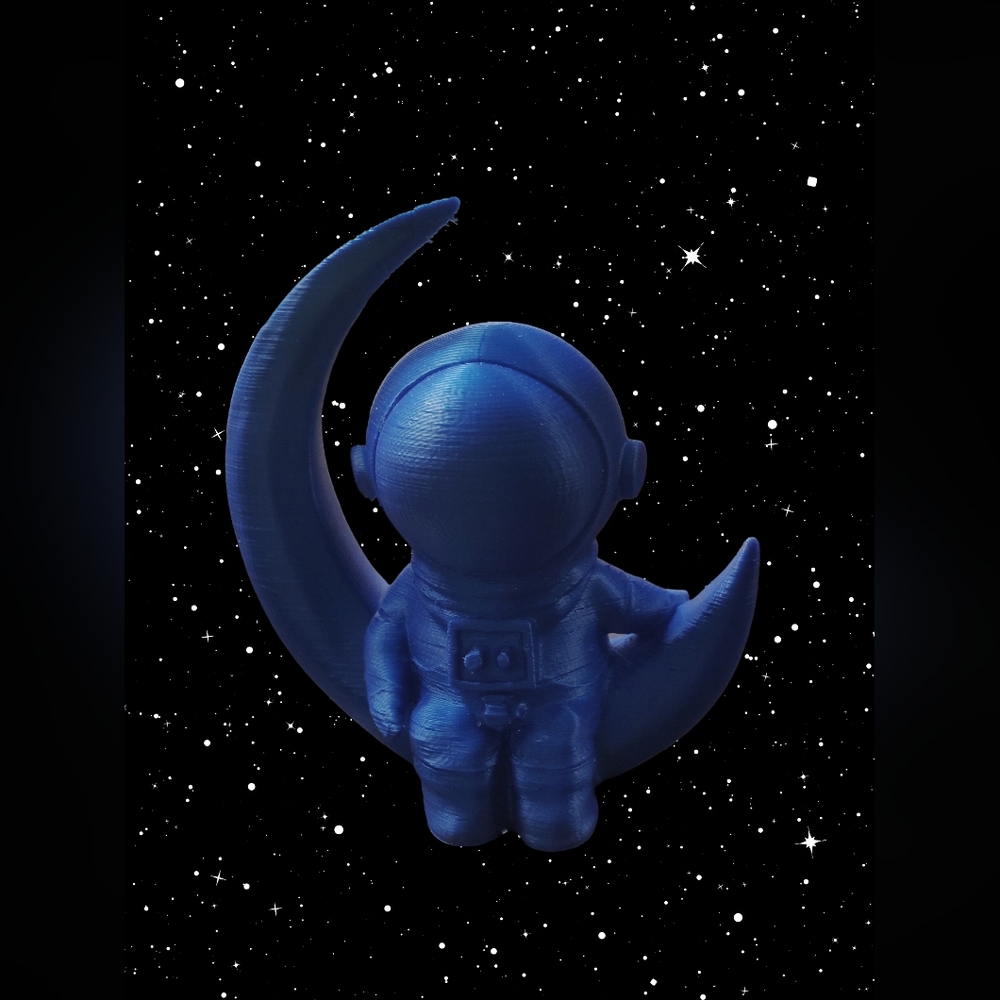 3D Printed Man On The Moon